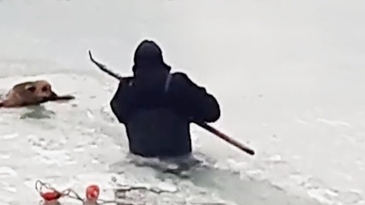 Hrabri čovjek spasio je psa koji se utapao u ledenom jezeru